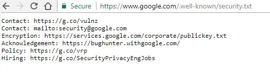 Google's security.txt implementation